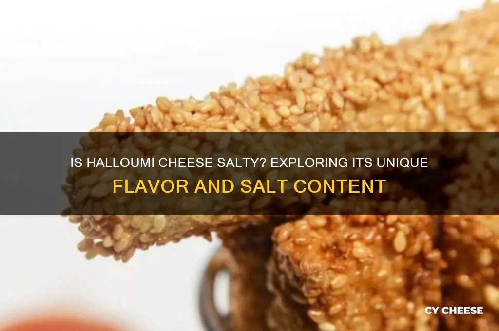 is halloumi cheese salty