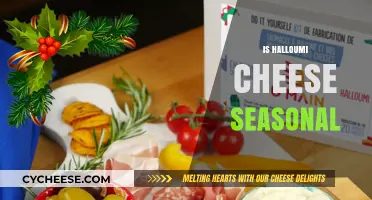 Is Halloumi Cheese Seasonal? Exploring Its Year-Round Availability and Production