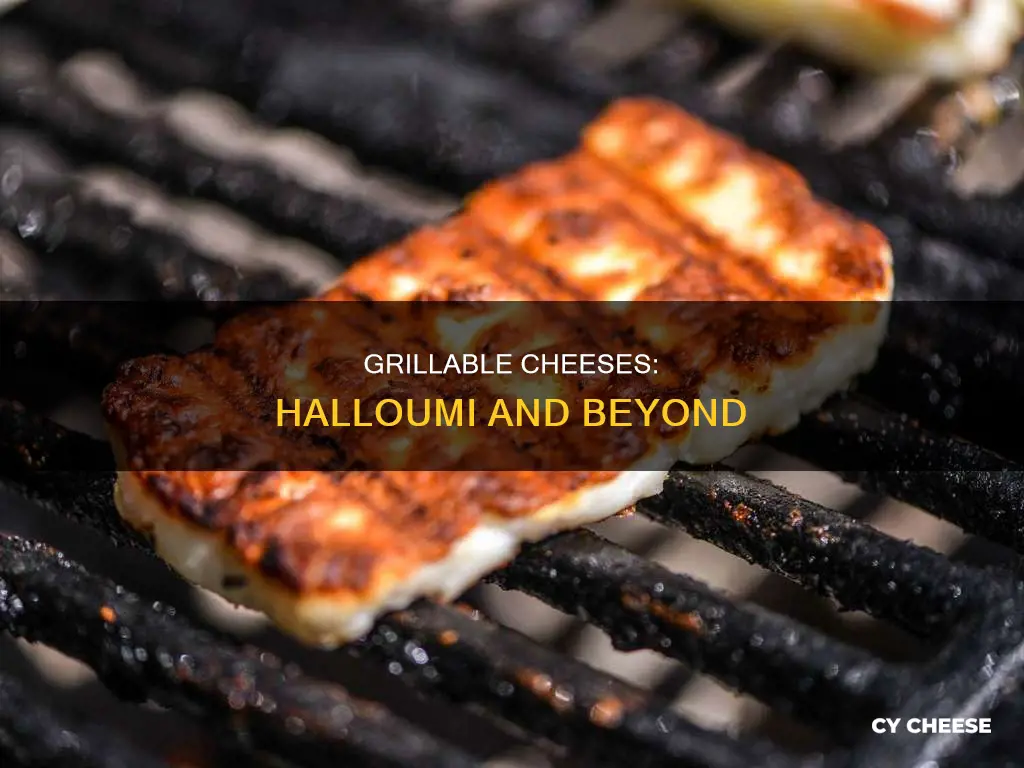 is halloumi cheese the only kind that grills