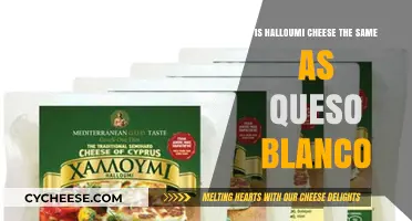 Halloumi vs. Queso Blanco: Are These Cheeses Truly Interchangeable?