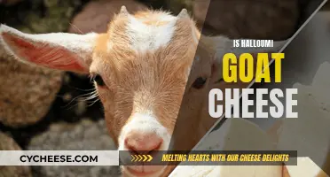 Goat or Not: Halloumi Cheese's Origin Mystery