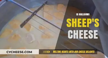 Is Halloumi Sheep's Cheese? Unraveling the Origins and Ingredients