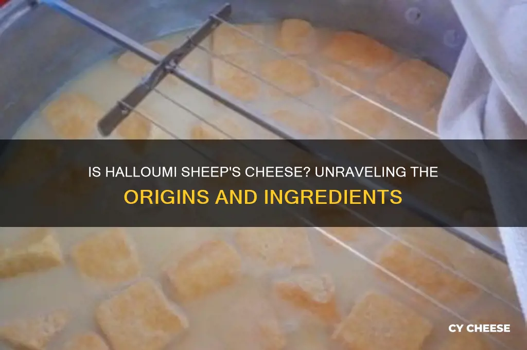 is halloumi sheep