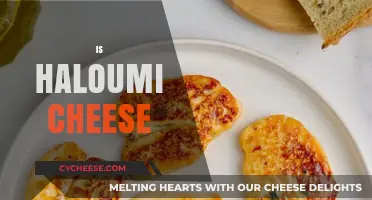 Is Halloumi Cheese? Unraveling the Mystery of This Unique Dairy Delight