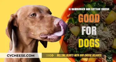 Can Dogs Eat Hamburger and Cottage Cheese? A Nutritional Guide