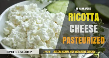 Is Hannaford Ricotta Cheese Pasteurized? A Complete Guide