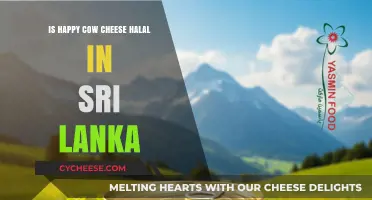 Is Happy Cow Cheese Halal in Sri Lanka? Exploring Certification and Ingredients