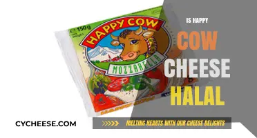Is Happy Cow Cheese Halal? Exploring Ingredients and Certification