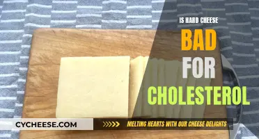 Hard Cheeses: Impact on Cholesterol Levels