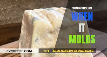 Hard Cheese and Mold: What's the Danger?