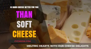 Hard vs. Soft Cheese: Which is Healthier for Your Diet?