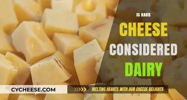 Is Hard Cheese Dairy? Understanding Its Classification and Nutritional Role