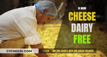 Hard Cheeses: Are They Dairy-Free?