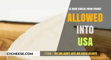 Can Hard French Cheese Enter the USA? Import Rules Explained