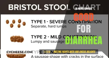 Hard Cheese and Diarrhea: Benefits, Risks, and What to Know