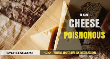 Is Hard Cheese Poisonous? Unraveling Myths About Aged Cheese Safety