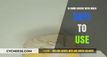 Hard Cheese and Mold: Safe to Eat?