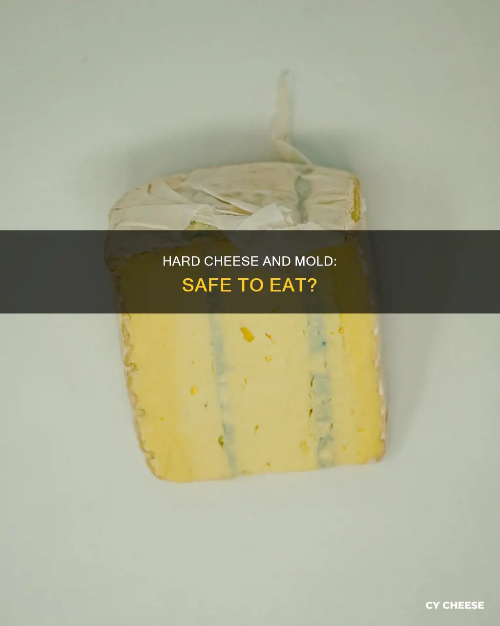 is hard cheese with mold safe to use