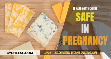 Is Hard Goat's Cheese Safe During Pregnancy?