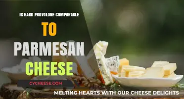 Hard Provolone: Parmesan's Cousin?