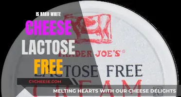 White Cheese and Lactose: What's the Deal?