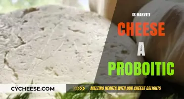 Harvarti Cheese and Probiotics: Uncovering Its Gut-Friendly Potential