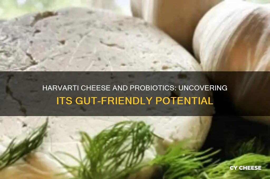 is harviti cheese a proboitic