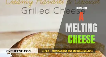 Havarti Cheese Melting: The Ultimate Guide