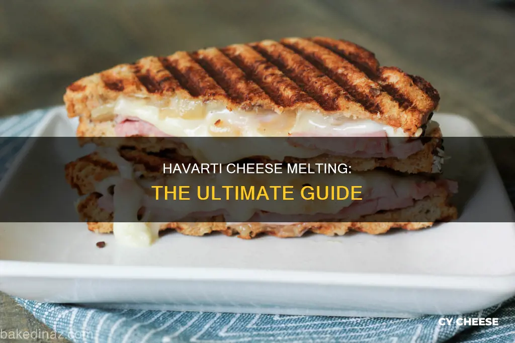 is havarti a melting cheese