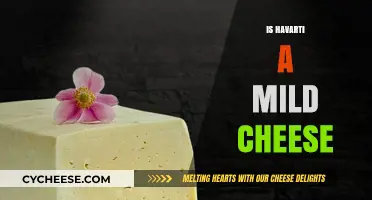 Is Havarti a Mild Cheese? Exploring Its Flavor and Texture