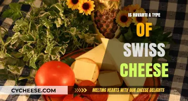 Havarti and Swiss Cheese: What's the Difference?