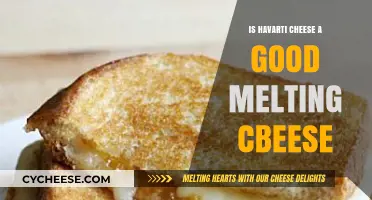 Is Havarti Cheese a Good Melting Cheese? A Tasty Analysis