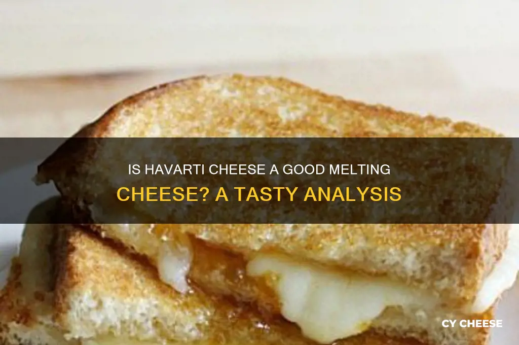 is havarti cheese a good melting cbeese