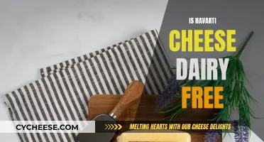 Havarti Cheese: A Dairy-Free Option?