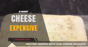 Is Havarti Cheese Expensive? Cost Breakdown and Budget-Friendly Tips