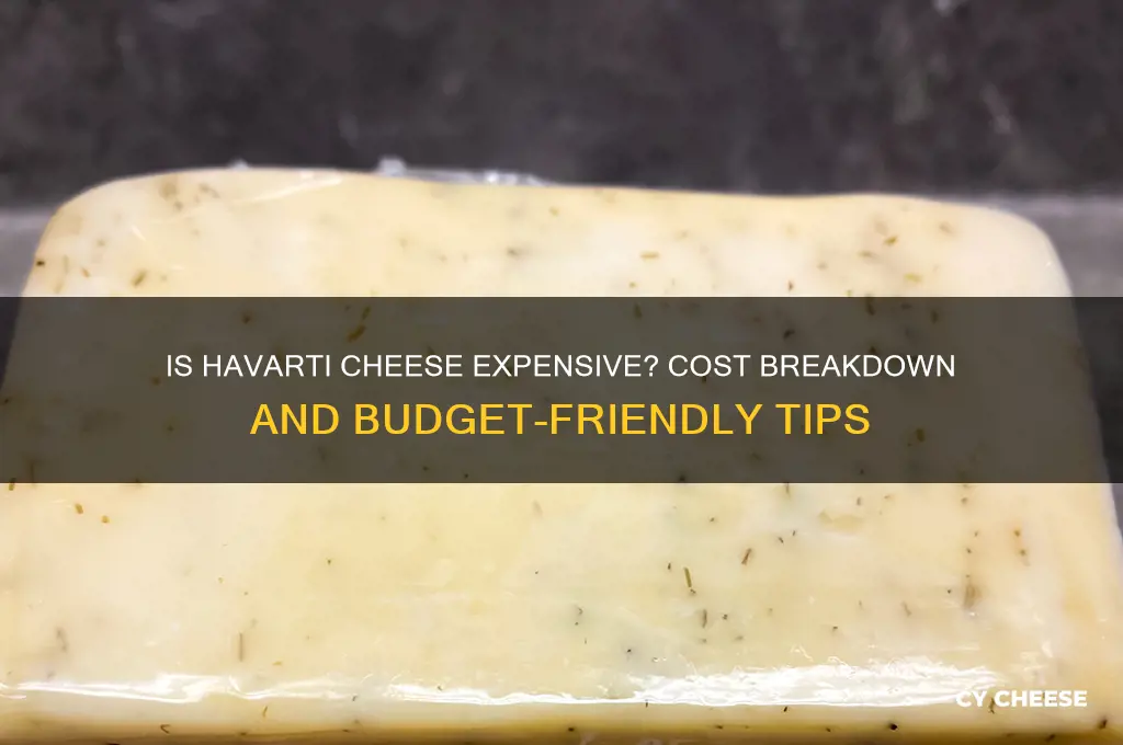 is havarti cheese expensive