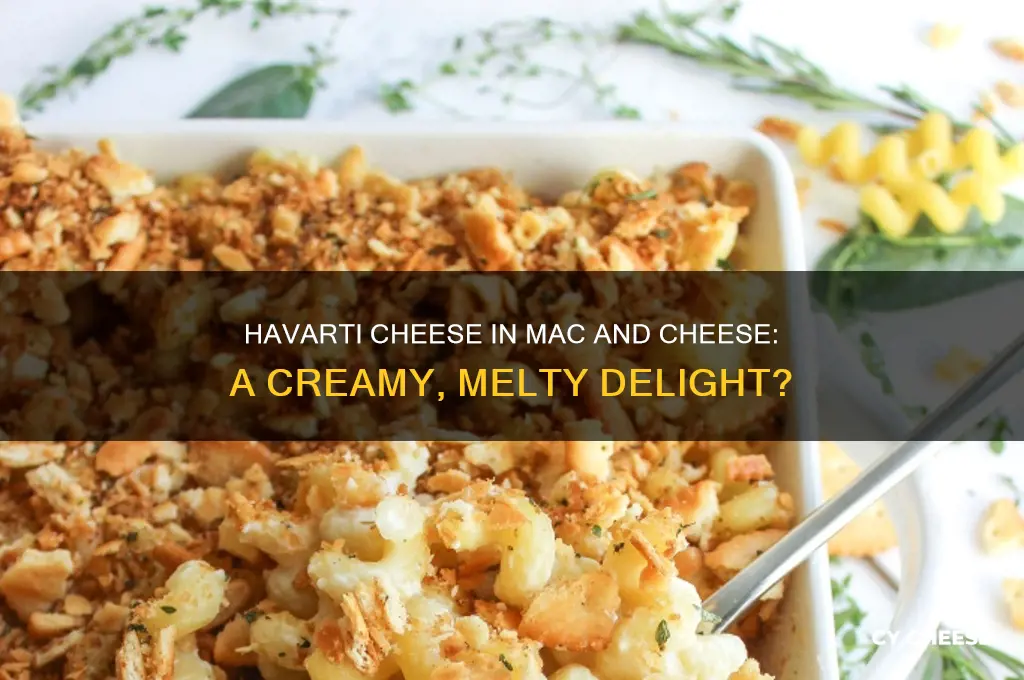 is havarti cheese good for macaroni and cheese