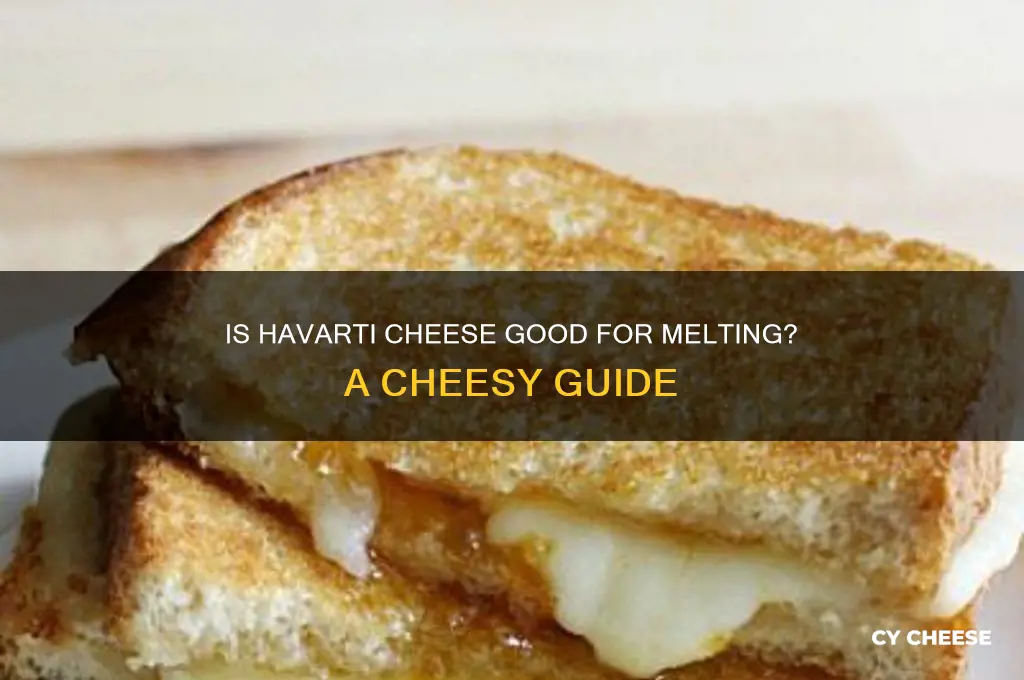 is havarti cheese good for melting