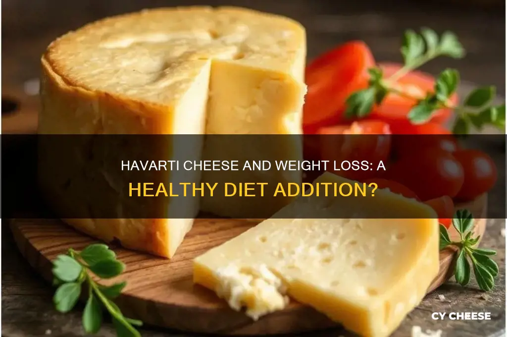 is havarti cheese good for weight loss