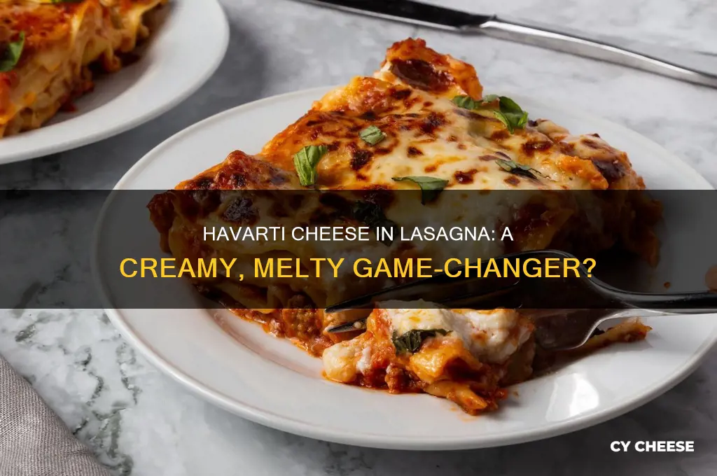 is havarti cheese good in lasagna