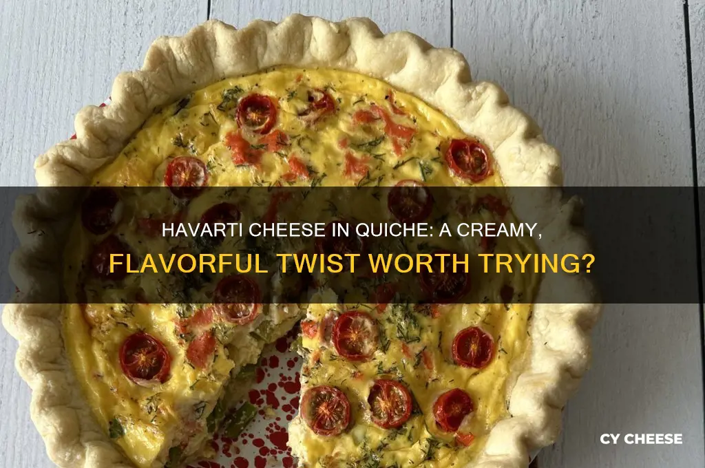 is havarti cheese good in quiche