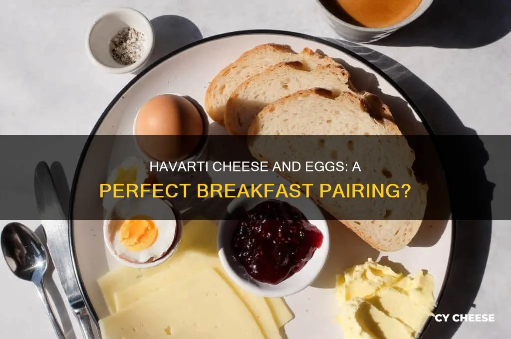 is havarti cheese good with eggs