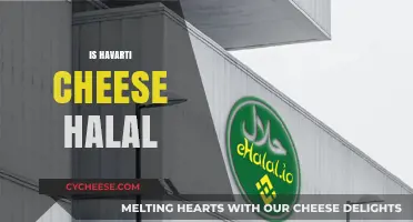 Is Havarti Cheese Halal? Exploring Its Ingredients and Certification