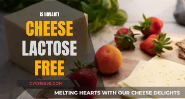 Havarti Cheese: Lactose-Free or Not?