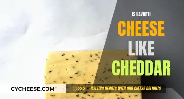 Havarti and Cheddar: Similar Cheeses, Different Personalities