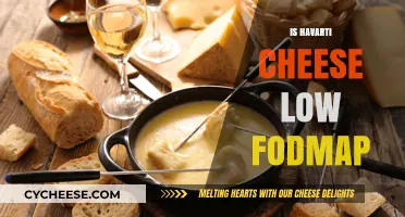 Is Havarti Cheese Low FODMAP? A Digestive-Friendly Cheese Guide
