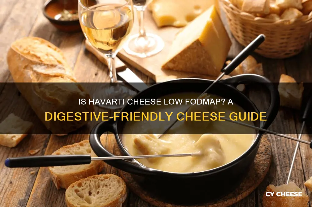 is havarti cheese low fodmap