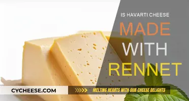 Havarti Cheese: Unveiling the Role of Rennet in its Production