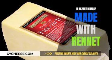 Havarti Cheese: Rennet's Role in its Making
