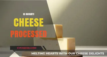 Is Havarti Cheese Processed? Uncovering the Truth About This Creamy Delight